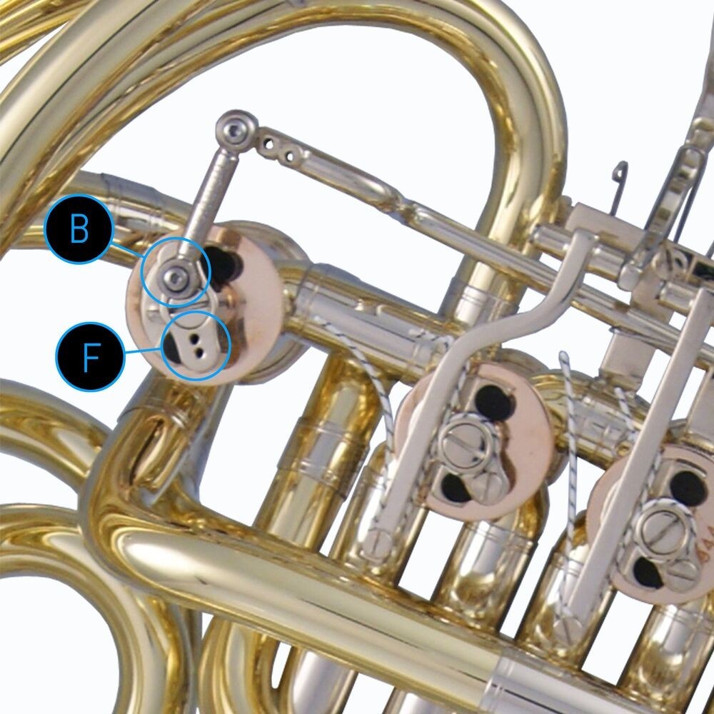 F/Bb Dürk Mod. D10 Allegrini Experience French Horn (Unlacquered)