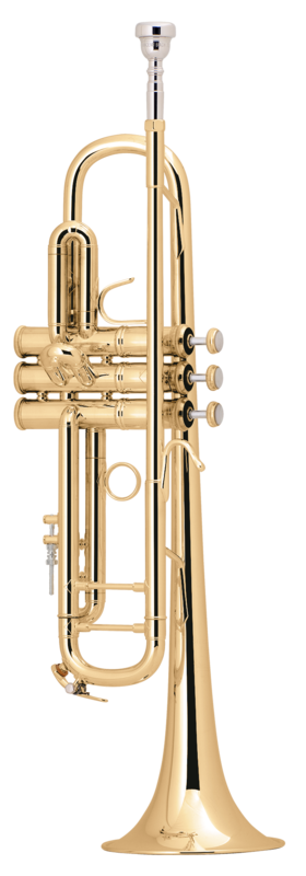 Bb Trumpet Bach 180ML 37 Gold Brass