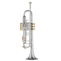 Trompeta Sib Bach 190S 43W2 Centennial""