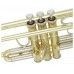 Bach LR180ML 43 Lacquered Bb Trumpet