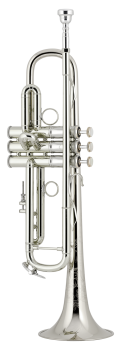 Trompeta Sib Bach LR190S 43B Plateada