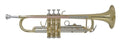 Trompeta Sib Bach TR655 Lacada