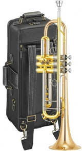 Trompeta Sib Yamaha Custom Xeno YTR8335RG04 SP