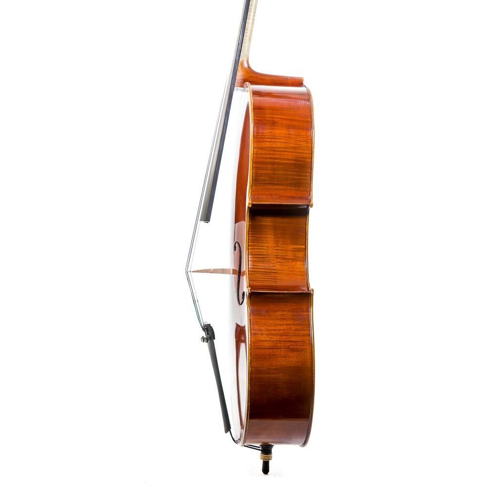 Violoncello 3/4 F. Müller Virtuoso