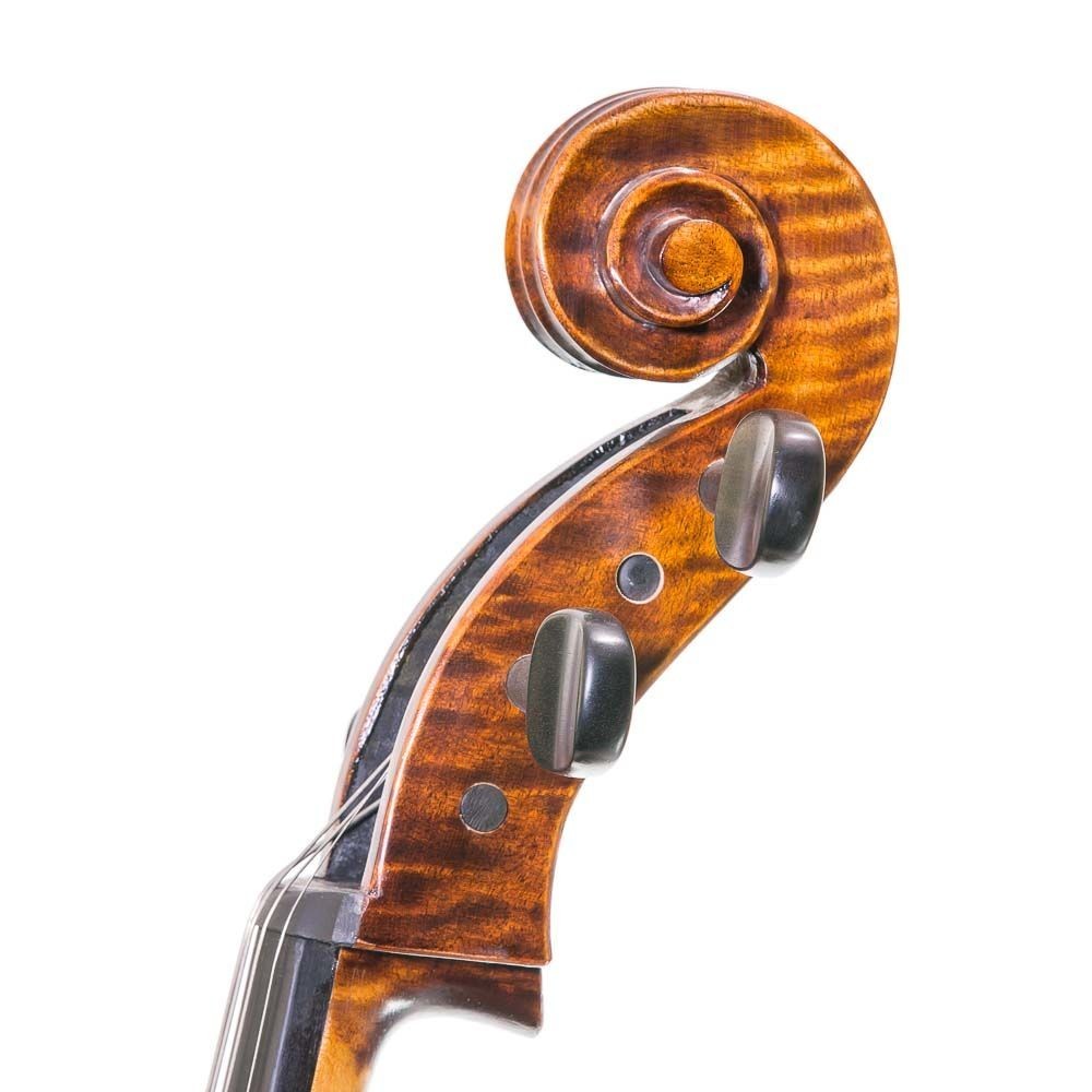 Violoncello 4/4 Stentor Messina