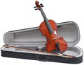 Violin 3/4 Amadeus VA101 (Arco y Estuche)