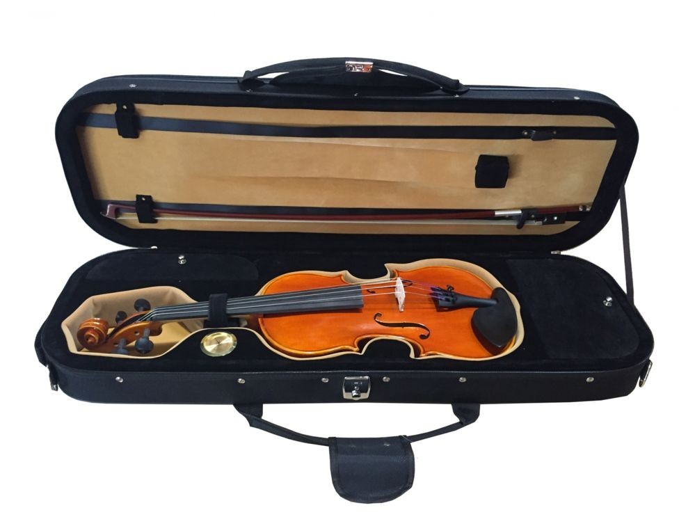 Violin 4/4 F. Müller Virtuoso (Arco y Estuche)