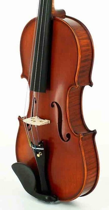 Violin 4/4 Gliga Gama II