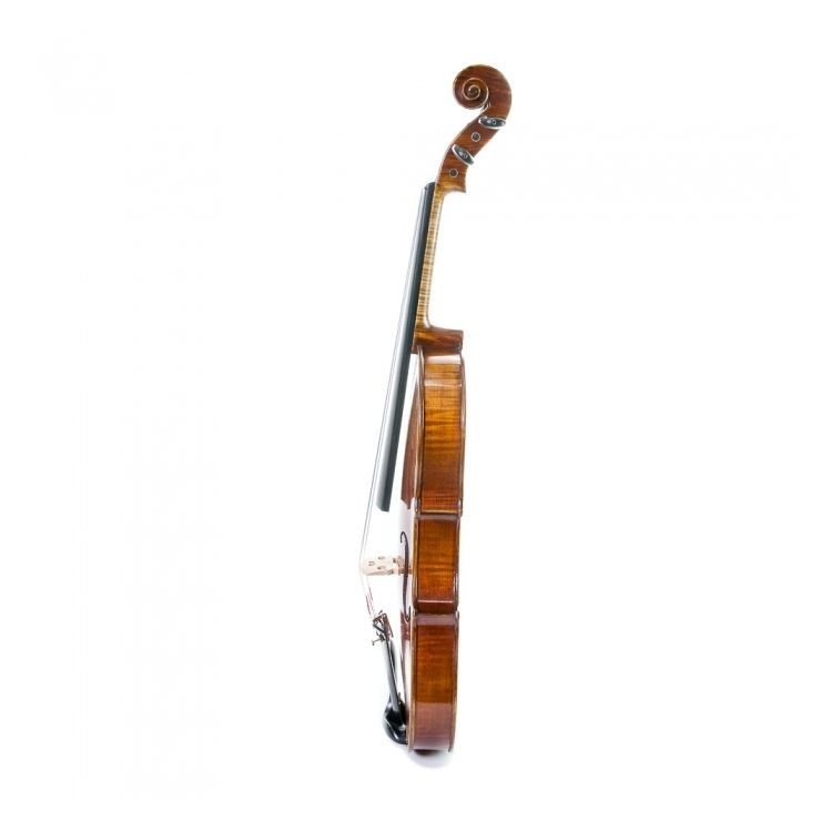 Violin 4/4 Stentor Master
