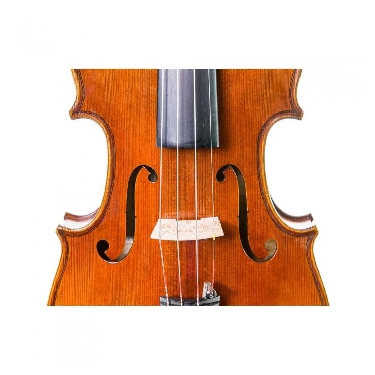 Violin 4/4 Stentor Master