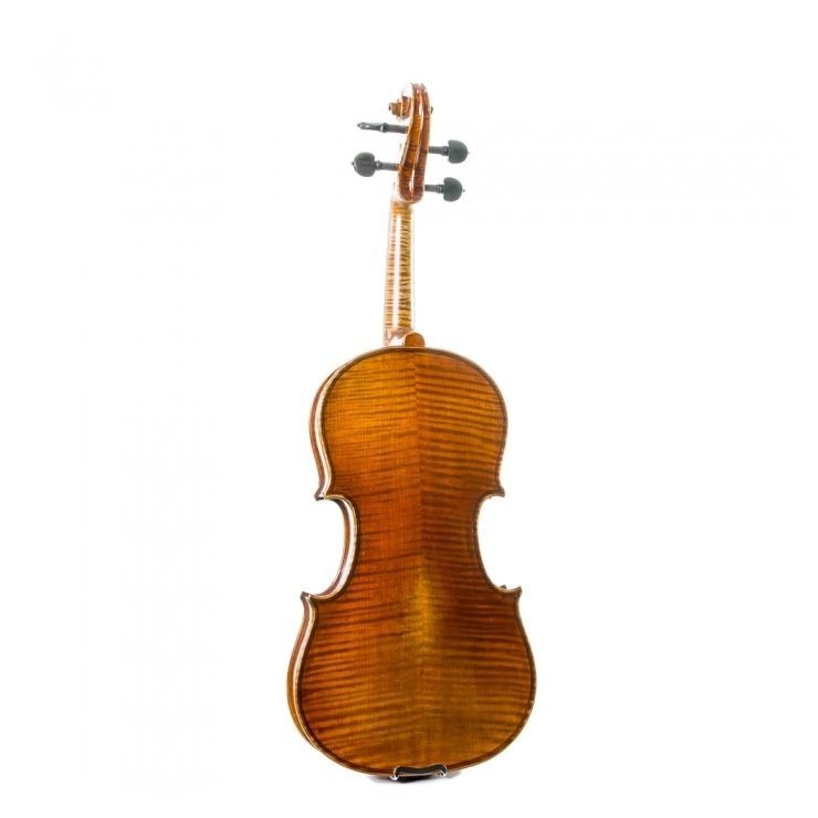 Violin 4/4 Stentor Master