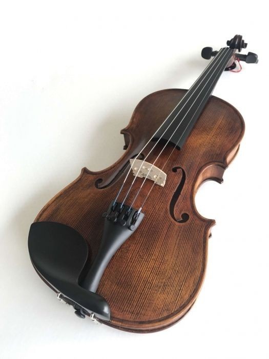 Violin 4/4 Stentor Verona (Bow and Case)