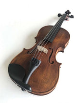 Violin 4/4 Stentor Verona (Bow and Case)