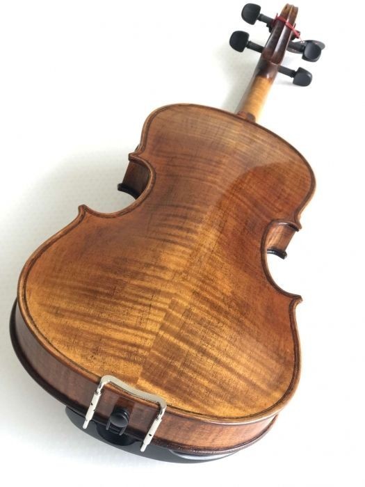 Violin 4/4 Stentor Verona (Bow and Case)