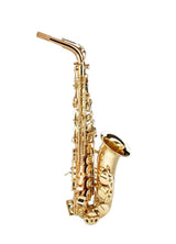 Schagerl Superior A1L Alto Saxophone