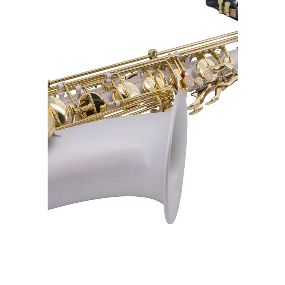 Saxofon Tenor Taylor Collins TCTS-07 Plateado Llaves Doradas