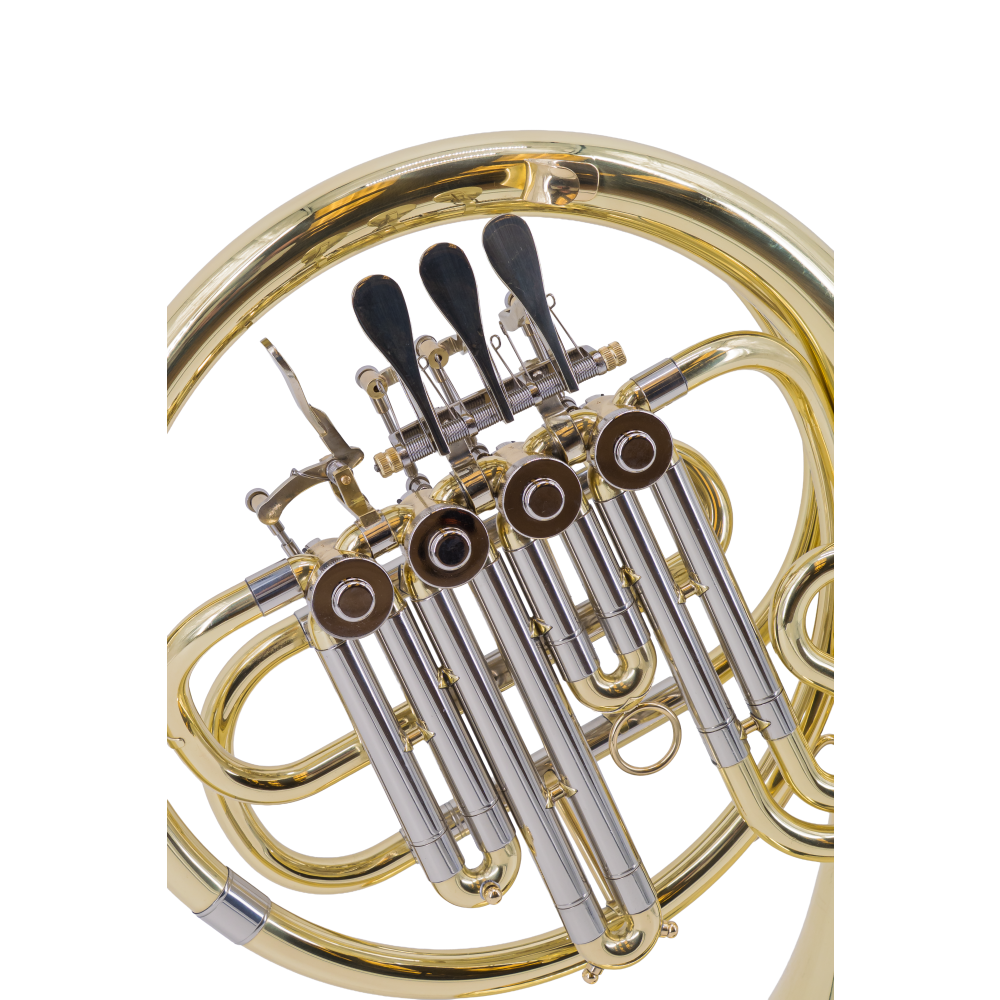 Trompa Taylor Collins TCFH-743 Campana Fija en Sib Lacada