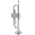 Trompeta en Sib Taylor Collins TCTR-01S Plateada