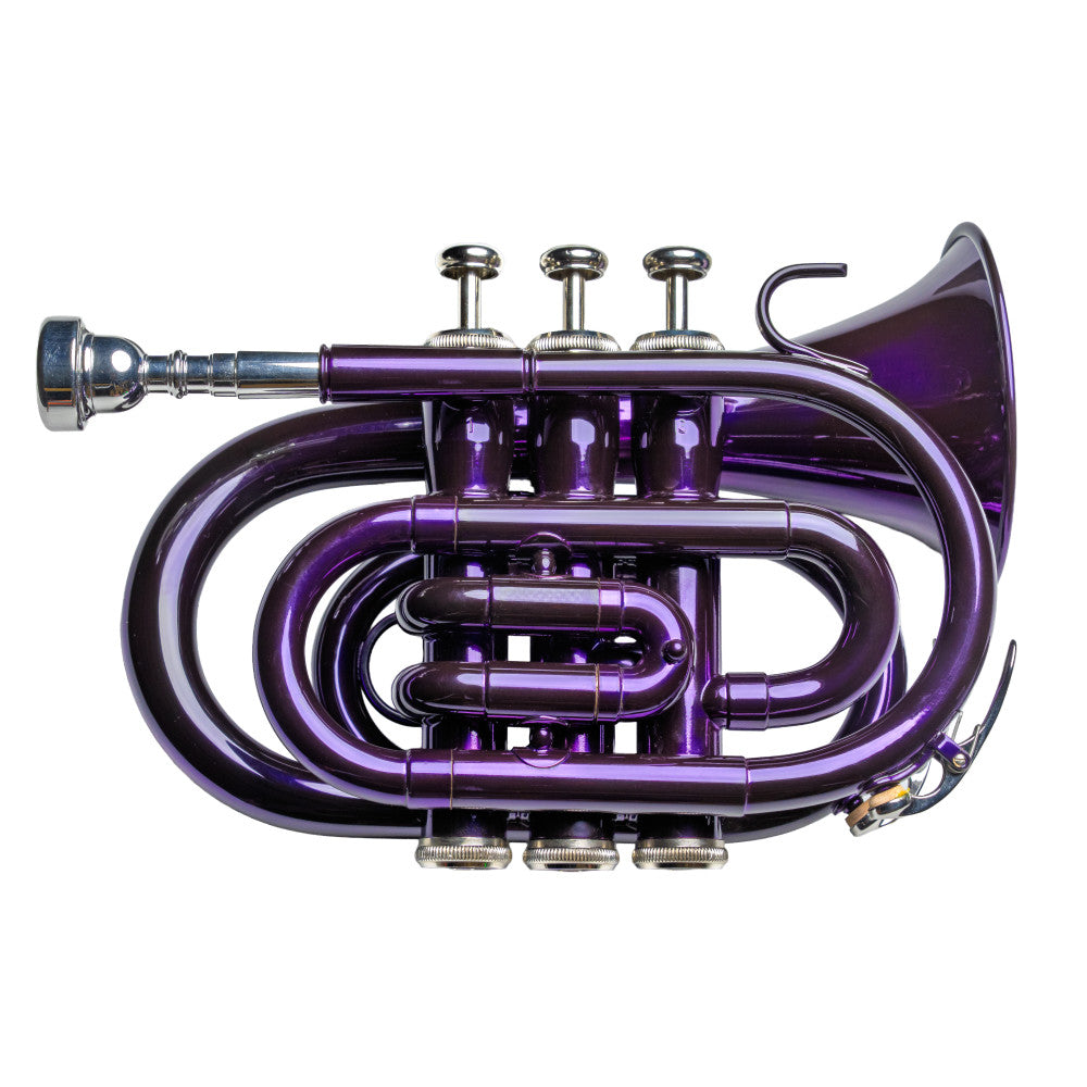 Trompeta Pocket Taylor Collins TCPTR-13 Purpura en Sib