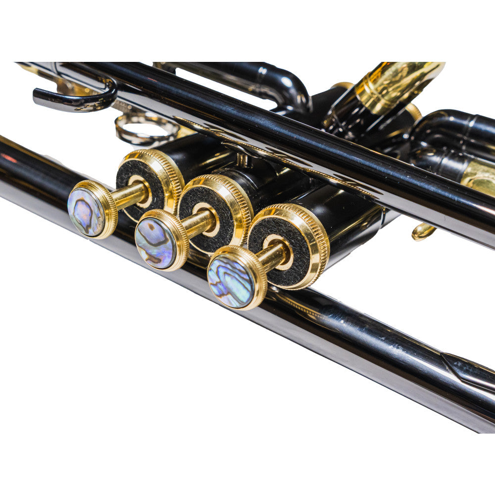 Trompeta en Sib Taylor Collins TCTR-97BN Niquel Negra