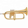 Fliscorno Taylor Collins TCFLG-276 Lacado Tudel Oro Rosa en Sib
