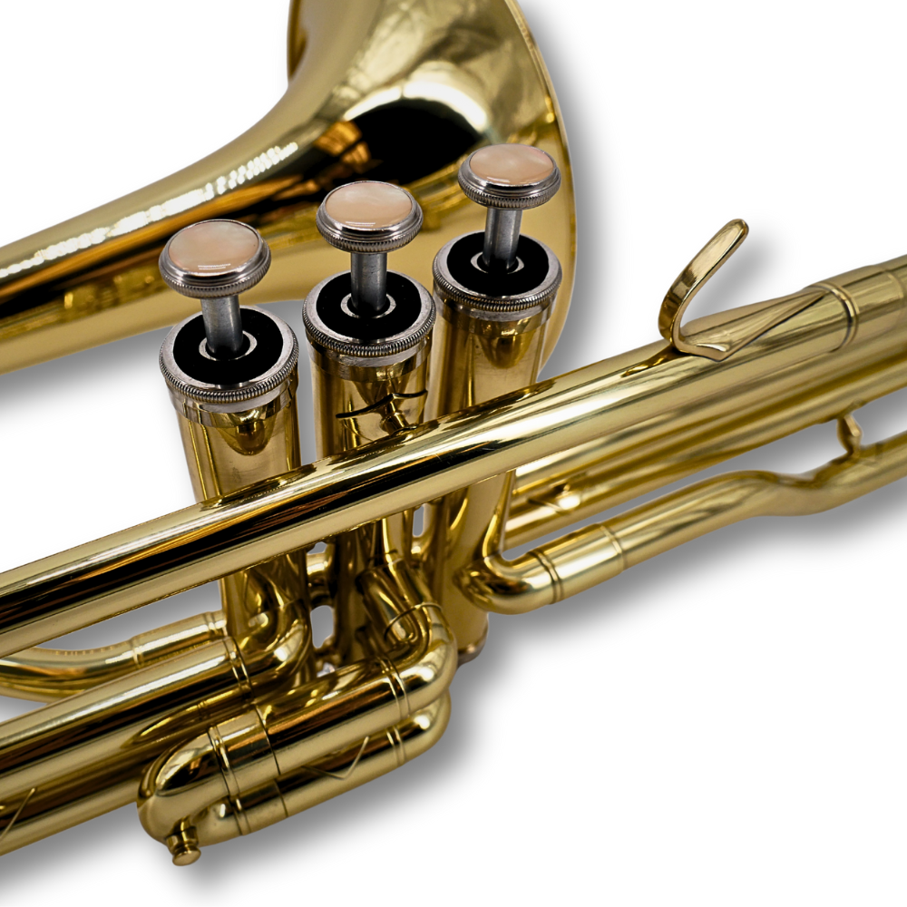 Trombon de Pistones Taylor Collins TCTM-9010 Lacado en Do