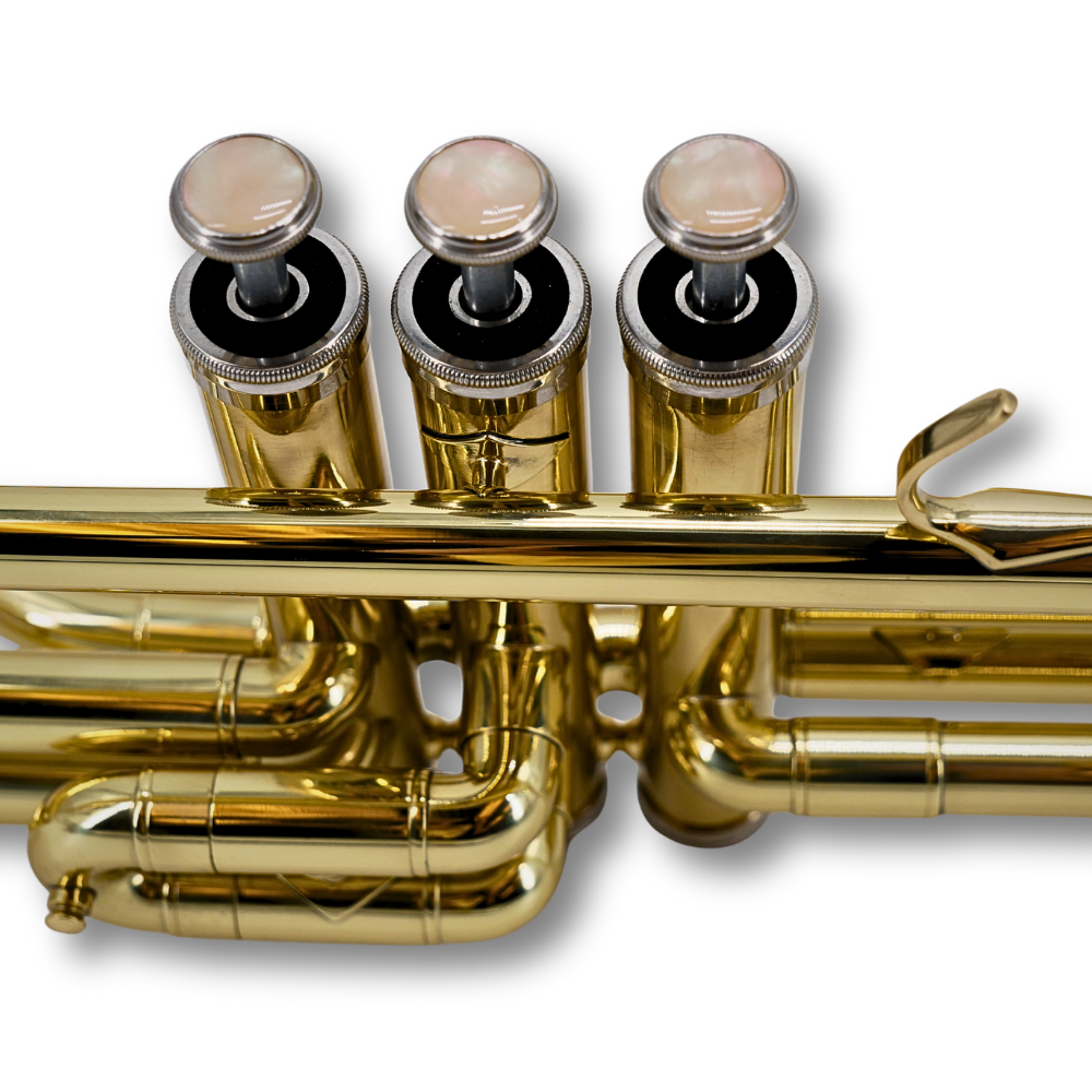 Trombon de Pistones Taylor Collins TCTM-9010 Lacado en Do