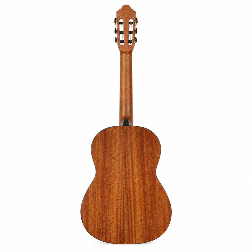 Guitarra Clasica Bones BPT-100_02