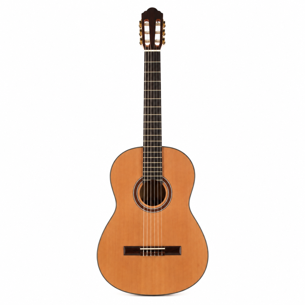 Guitarra Clasica Bones BST-200_01