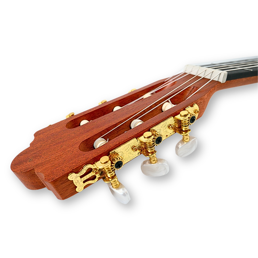 Guitarra Clasica Bones BPT-50_04