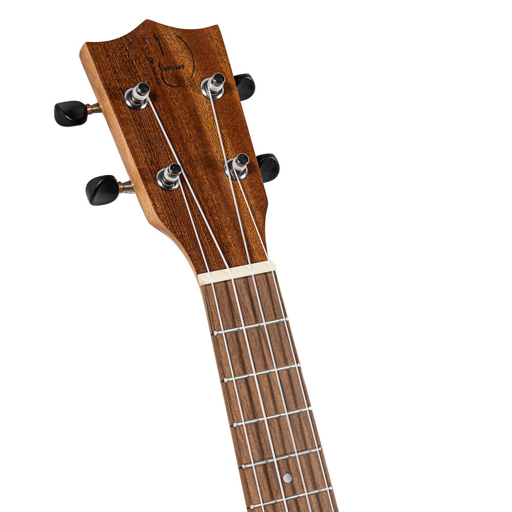 Ukelele Concierto Bones SP220C Sapele_04