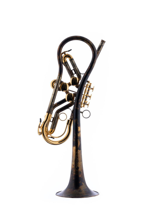 Schagerl Sib SPYDER Vintage Trumpet with gold parts