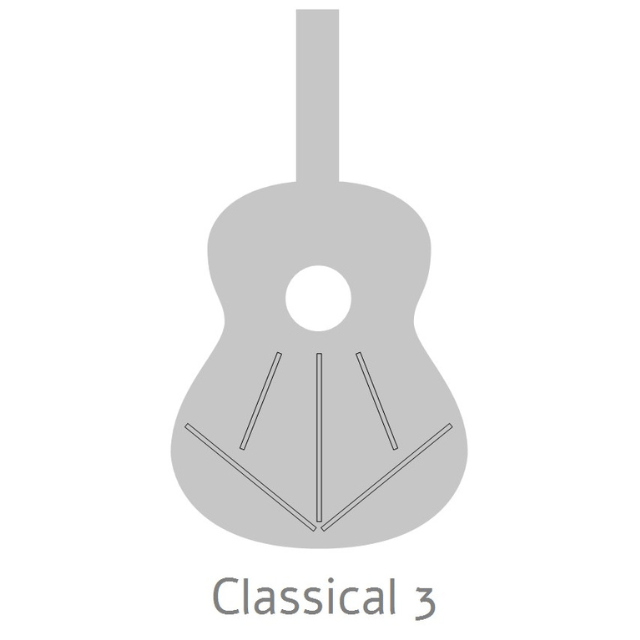 Alhambra 2C Classical Guitar (with 10mm Gig Bag)