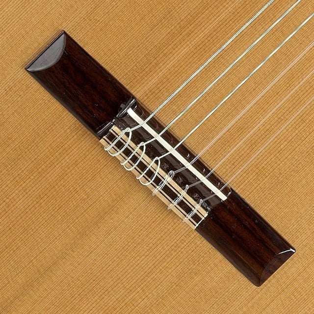 Guitarra Clasica Alhambra 3C (con Funda 10mm)
