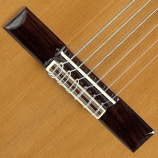 Guitarra Clasica Alhambra 5 P A