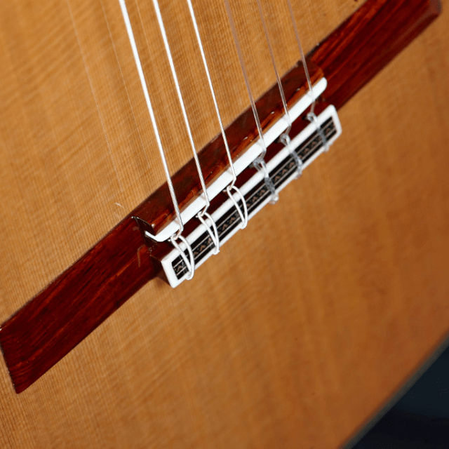 Guitarra Clasica Alhambra Linea Profesional