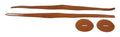 Correas Platos Samba 663SM