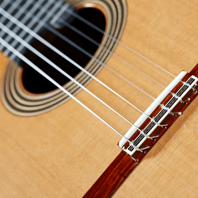 Guitarra Clasica Alhambra Linea Profesional