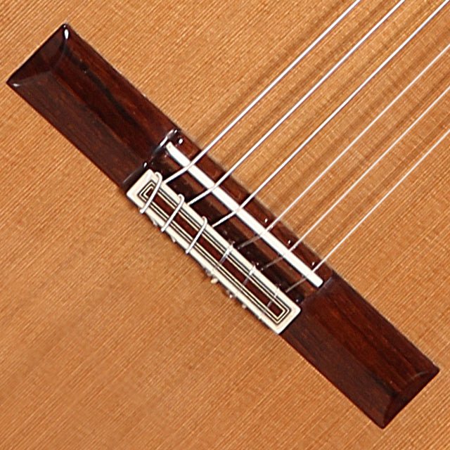 Guitarra Clasica Alhambra Premier Pro Madagascar