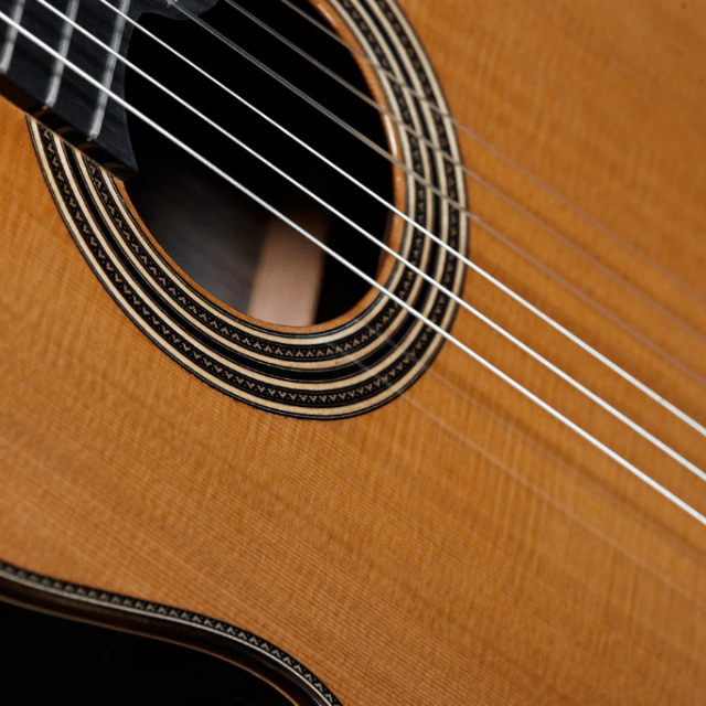 Guitarra Clasica Alhambra Linea Profesional