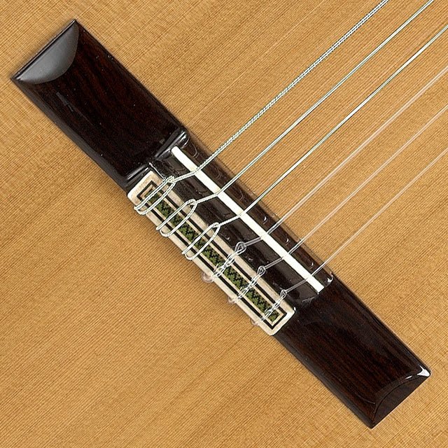 Guitarra Clasica Alhambra 9 P