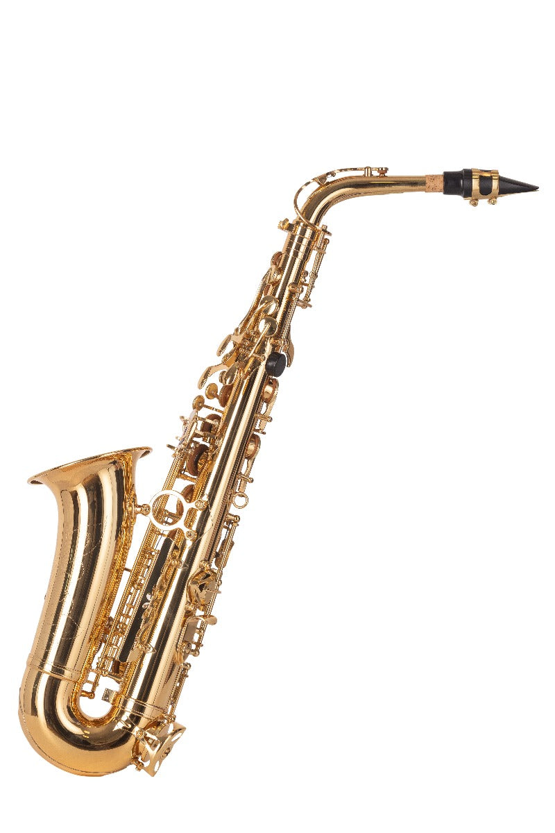Saxofon Alto Mib Amadeus Lacado AL802L - vista 2
