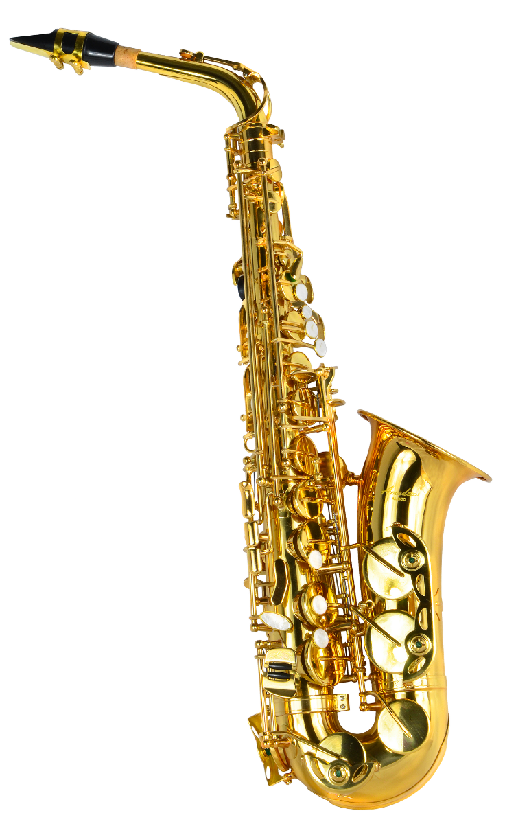 Saxofon Alto Mib Amadeus Lacado AL850 - vista 2