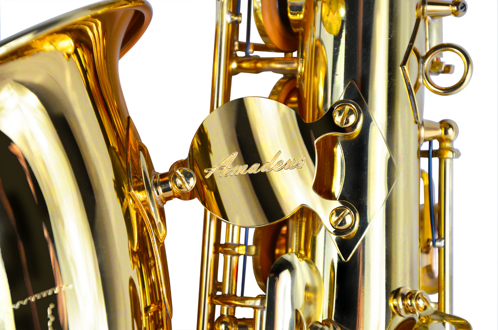 Saxofon Alto Mib Amadeus Lacado AL850 - vista 3