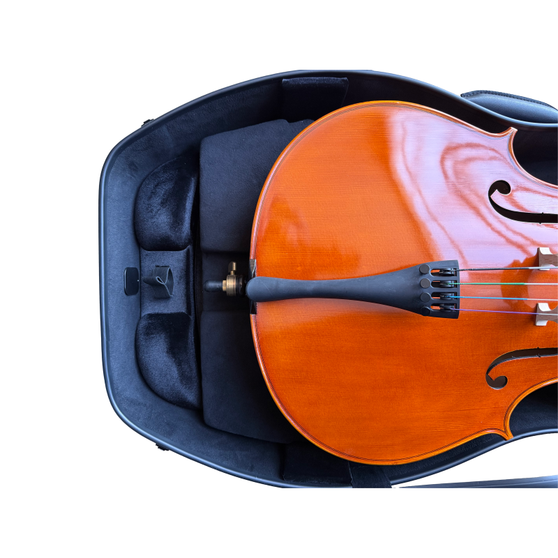 Espuma Adaptadora Estuche Violoncello Artist Dynamic 3/4 ACECDY34_03
