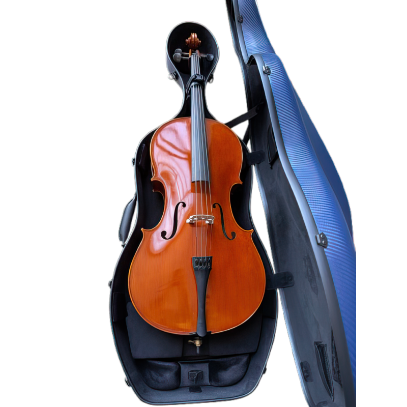 Espuma Adaptadora Estuche Violoncello Artist Dynamic 3/4 ACECDY34_05