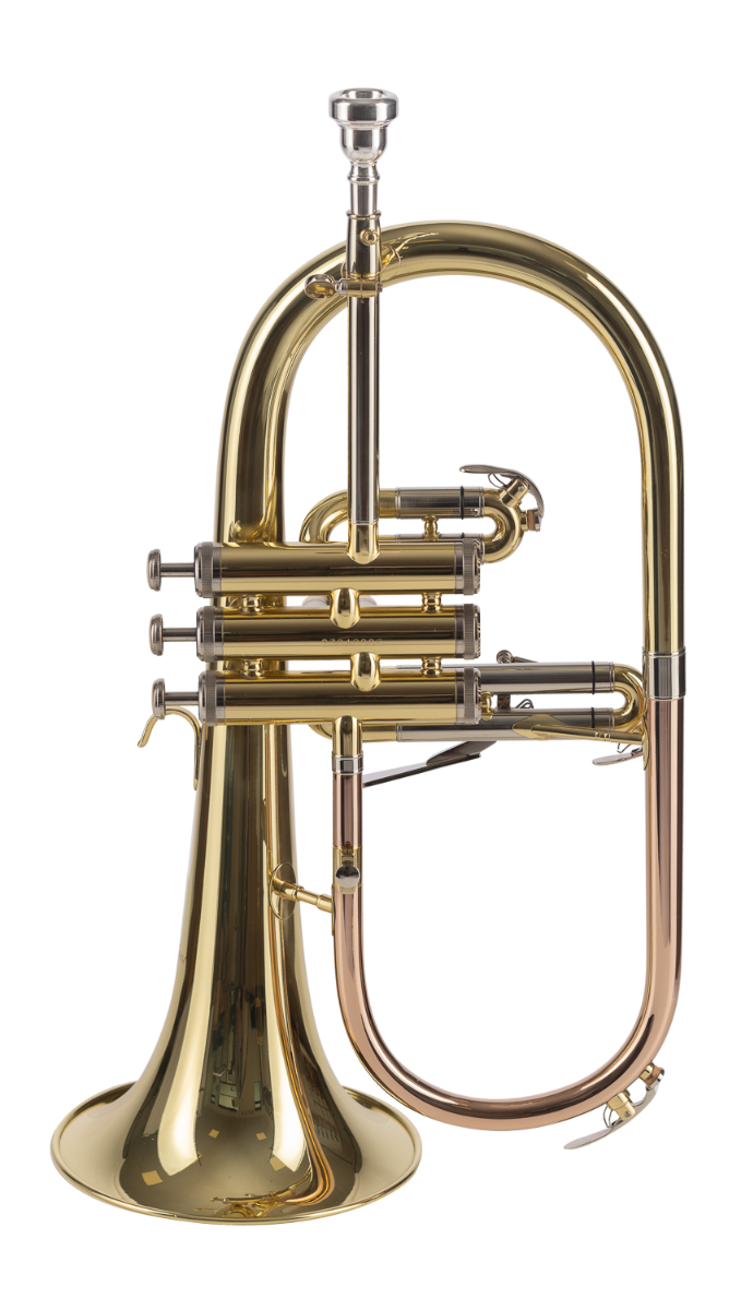 Fliscorno Sib Amadeus Pistones Monel Lacado FLH450 - vista 6