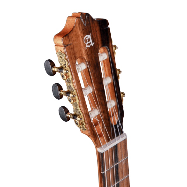 Guitarra Clasica Alhambra Green Sustain GSC