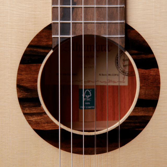 Guitarra Clasica Alhambra Green Sustain GSC