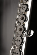 Flauta Travesera Muramatsu DS-RB-E-O Heavy